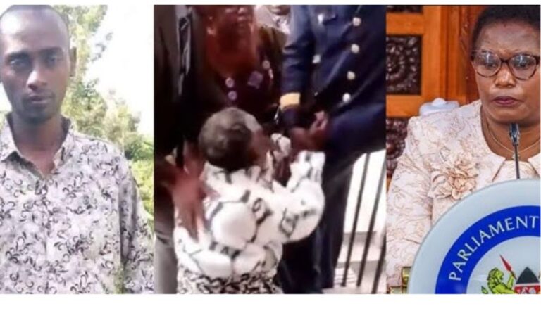 Mother of Meru Blogger, Sniper ejected from Senate after screaming during Gov Mwangaza impeachment trial