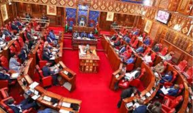Senators given condition over DP Gachagua impeachment