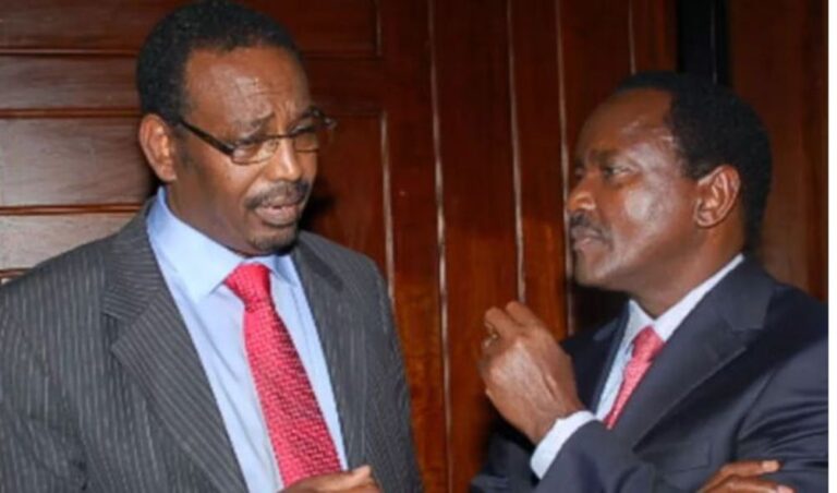 Farah Maalim rejects Wiper deputy party leader position