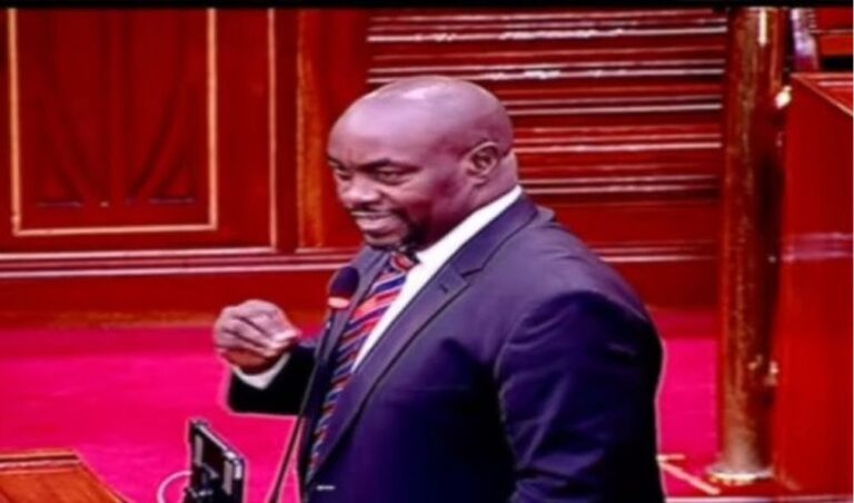 Senate Speaker kicks out Senator Wambua during Gachagua impeachment hearing