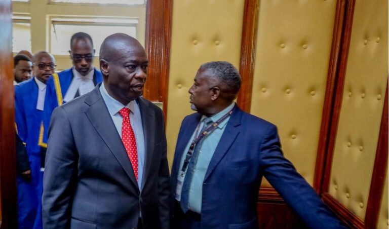 List of lawyers representing DP Gachagua and National Assembly in the impeachment trial