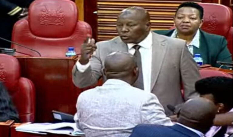 Drama as Senator accuses Speaker Kingi of bias during impeachment trial