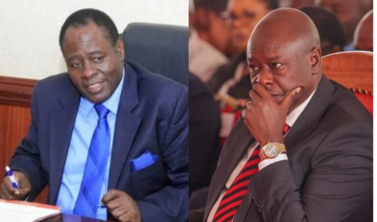 Gachagua's late brother son defends DP over father's wealth