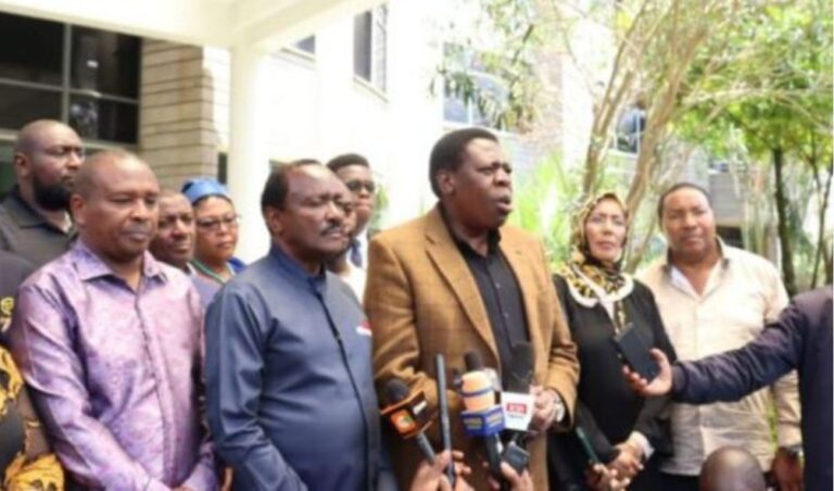 Win for Kalonzo in IEBC selection panel dispute