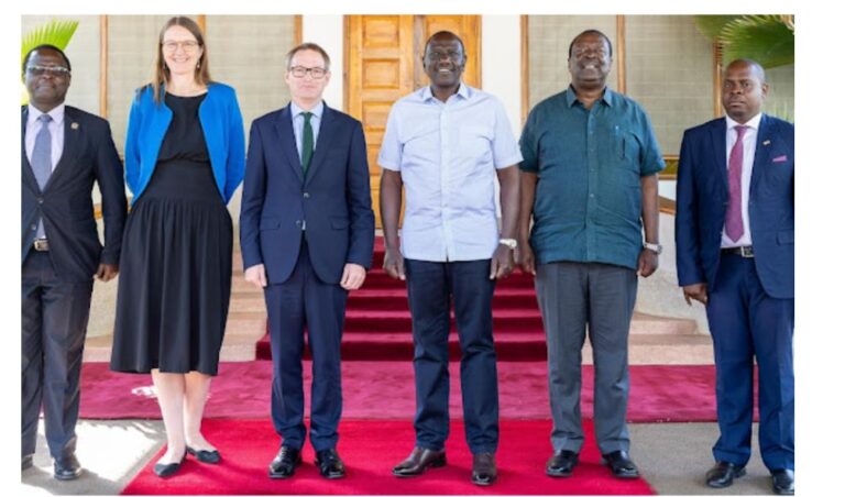 Western diplomats raise concern over rising cases of abduction in Kenya