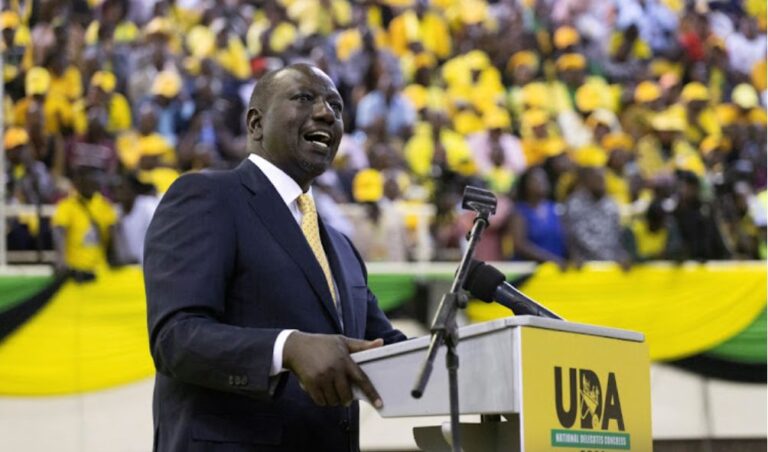 UDA issues statement on bill to extend presidential term limit to 7 years