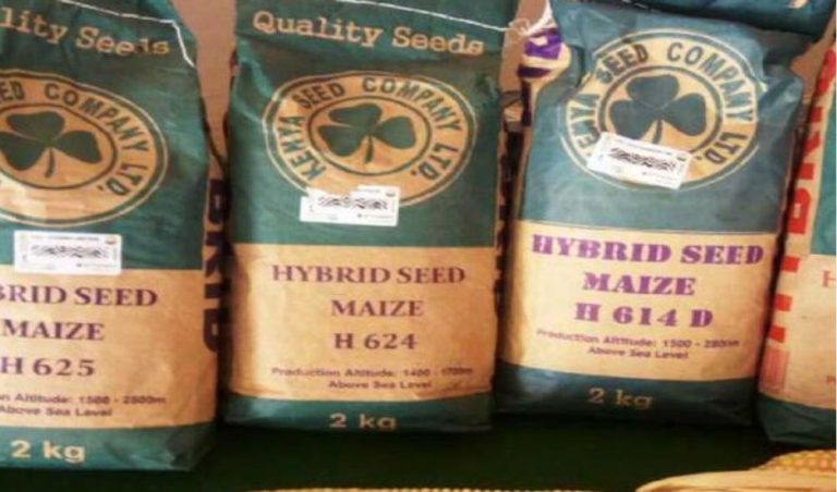 Government lists 6 counties as hotspots for the sale of fake seeds