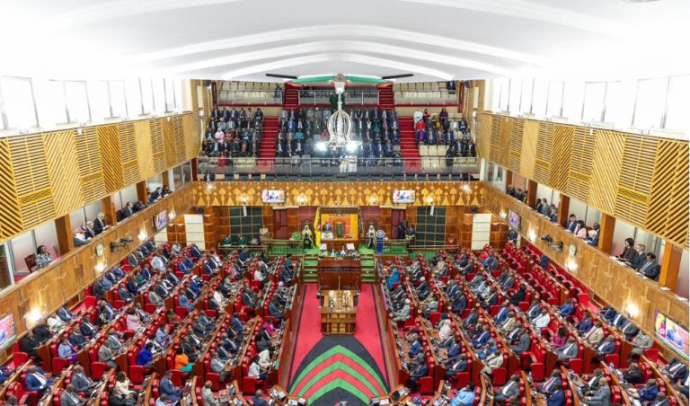 You behaved like school kids - MP calls out colleagues over Ruto's address
