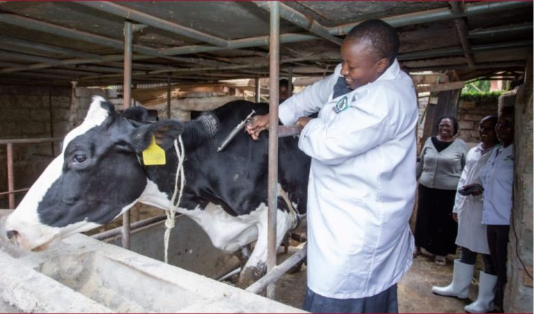 Government addresses concerns raised over planned livestock vaccination