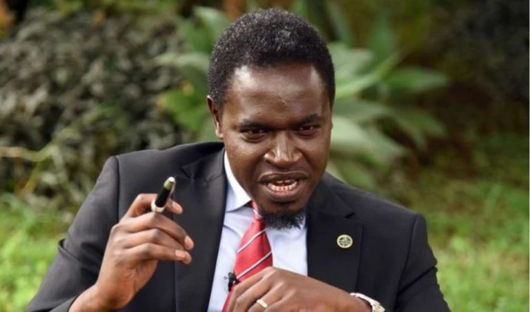 Nelson Havi announces presidential bid