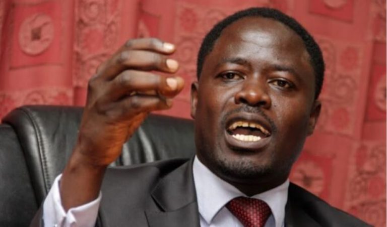 ODM MP slams Ruto for nominating all new CSs from Mt Kenya only