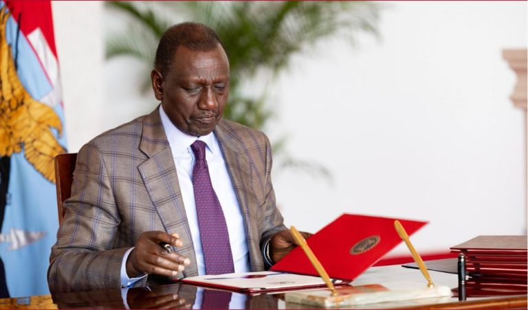 Ruto makes fresh appointments in government