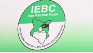 All those shortlisted candidates for IEBC chair are 'Yes' People; ODM Senator