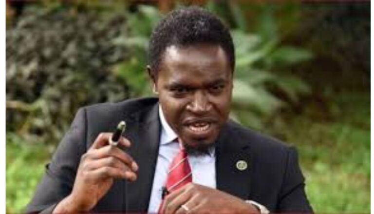 Lawyer Nelson Havi Responds to being labeled ‘Ruto’s mole’