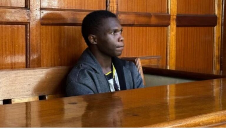 X user 'I must go’ arraigned in court for posting ‘derogatory messages’ towards President Ruto