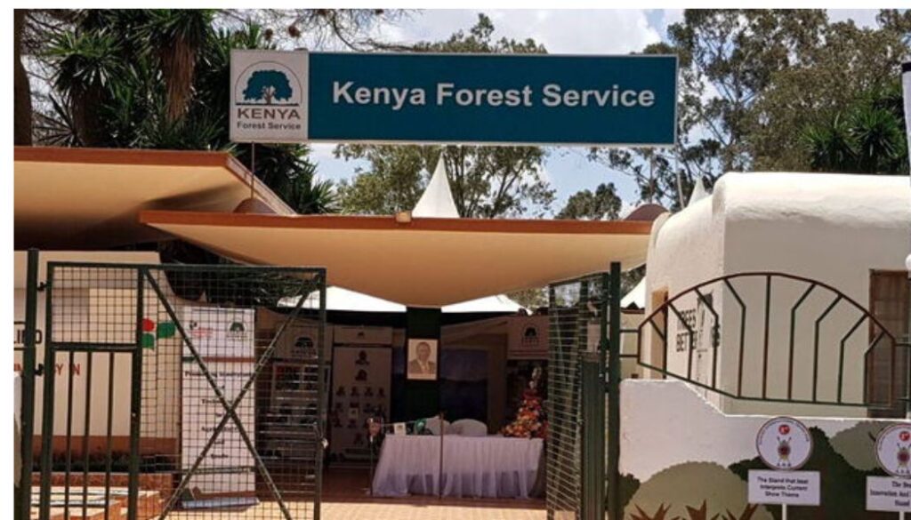 The Kenya Forest Service (KFS) has denied claims that it has handed over City Park Forest to a developer.