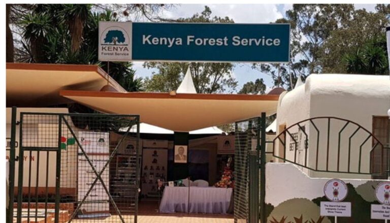 The Kenya Forest Service (KFS) has denied claims that it has handed over City Park Forest to a developer.