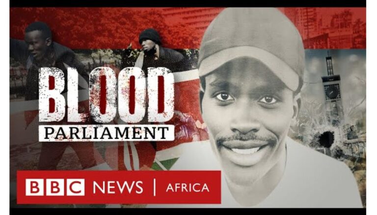 The private screening of BBC Africa Eye's documentary Blood Parliament was canceled just hours before it was set to begin.
