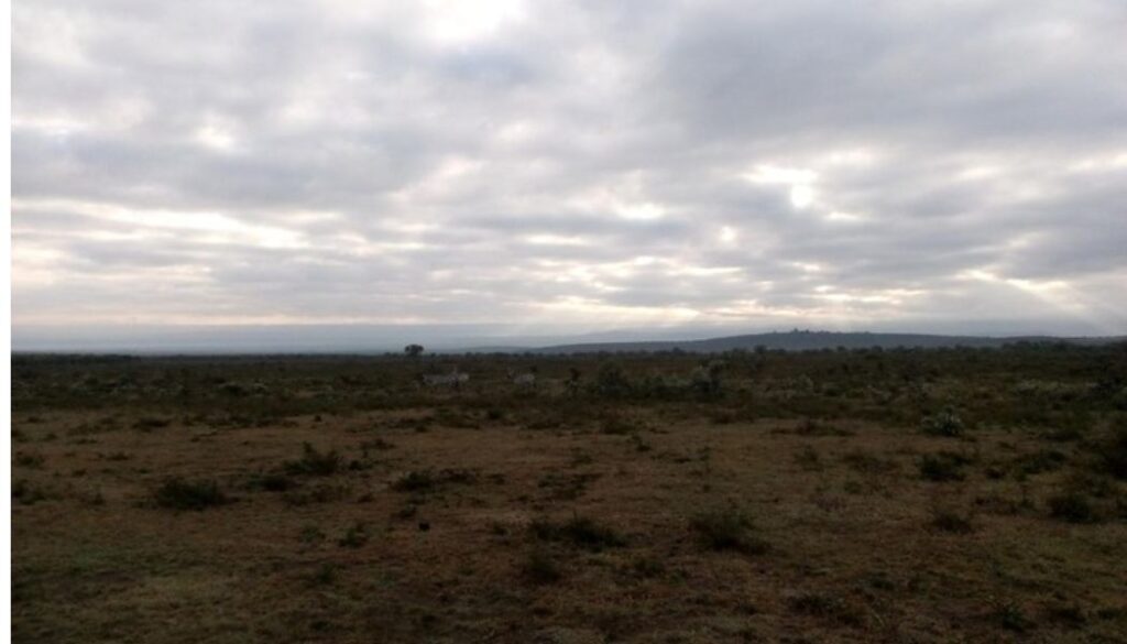 Ruto allocates 6,000 acres of Kedong Ranch to locals during Narok tour