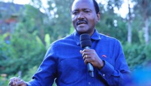 Kalonzo writes to Ruto over appointment of new IEBC commissioners