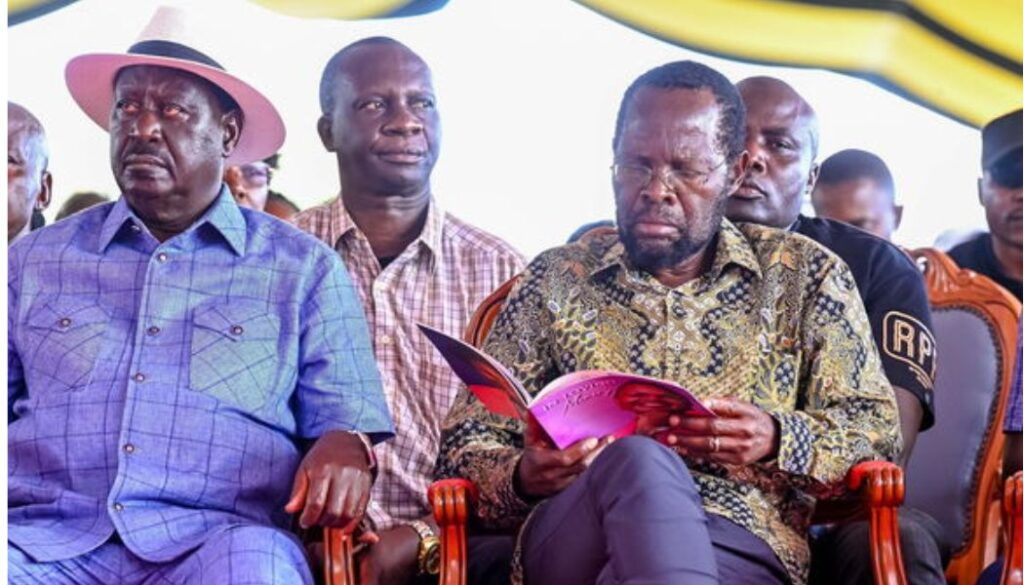 Anyang' Nyong'o addresses reports of rift with Raila Odinga