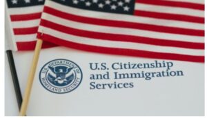 All illegal immigrants who fail to self-deport from the U.S. will face five additional punishments beyond automatic deportation, President Donald Trump has announced.