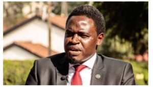 Lawyer Nelson Havi has expressed his interest in defending the growers of bhang inside Mt Kenya Forest should they be charged in court. 