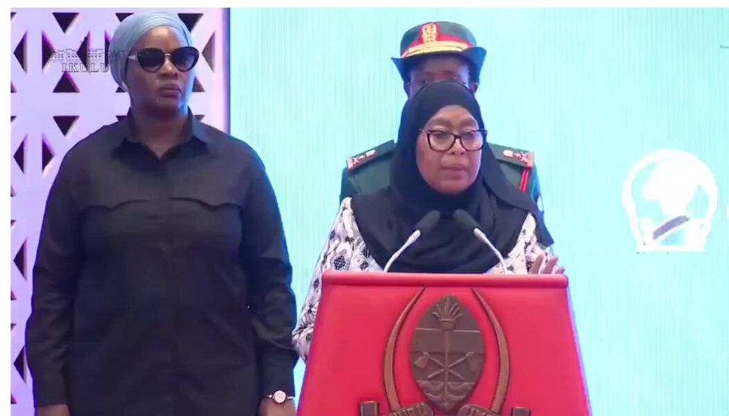 Samia Suluhu speaks after deportation of Willy Mutunga, Karua and other activists from Tanzania