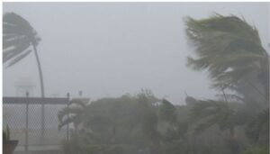 The Kenya Meteorological Department has issued a warning of strong surface winds affecting the coastal and eastern parts of the country. 