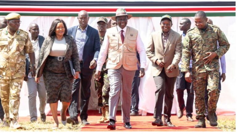 The Kenya Wildlife Service (KWS) has issued licences for the construction of hotels within Meru National Park, President William Ruto has announced.