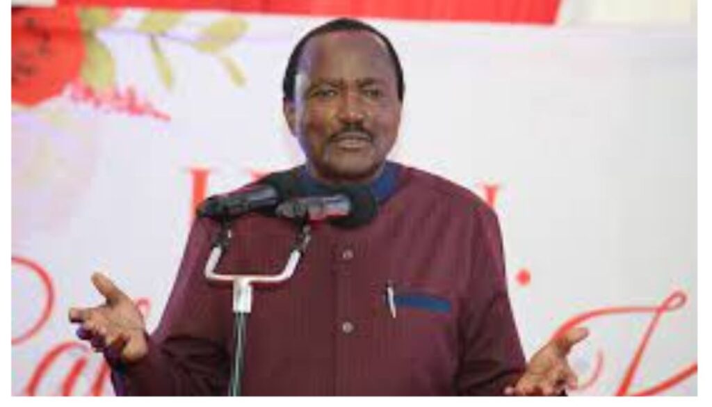 Ruto formed IEBC project to rig the 2027 elections with silent approval of Raila; Kalonzo