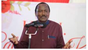 Ruto formed IEBC project to rig the 2027 elections with silent approval of Raila; Kalonzo