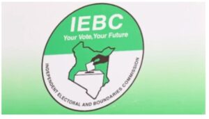 The government will introduce a a special secret ballot mechanism that will enable Kenyans with visual impairments to fully participate in future elections unassisted.