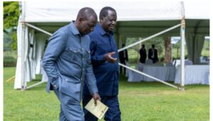 Orange Democratic Movement (ODM) Party leader Raila Odinga has called on President William Ruto to address police brutality in the country.