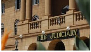 Judiciary speaks out on police brutality, use of goons to disrupt protests