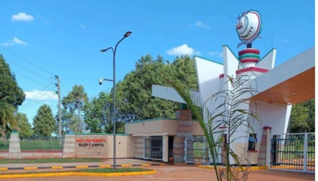 Moi University to sell cattle, donkeys and dogs in public auction