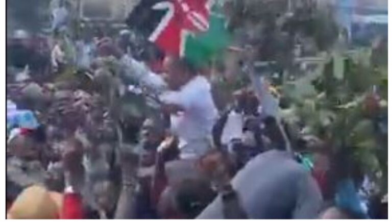 Embakasi Member of Parliament Paul Ongili, popularly known as Babu Owino joined other protestors in Nairobi.