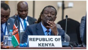 Musalia Mudavadi has warned Kenyans that their posts on social media could cost them when applying for visas. 