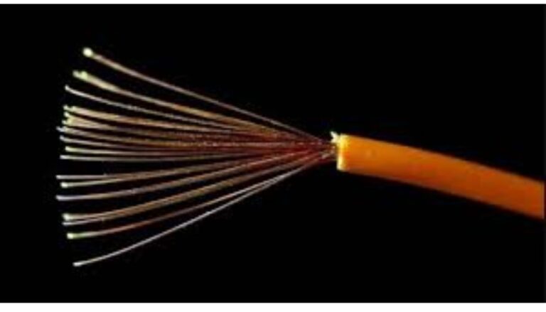 A 71-year-old woman identified as Josephine Aoko Otala died after being electrocuted during a night vigil on a Saturday morning.