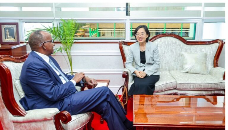 China offers Kenya 500 scholarships, 20 exchange programs designed to build local capacity and foster long-term collaboration.