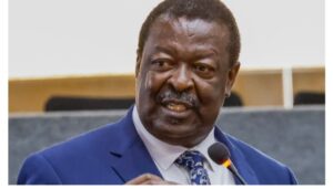 Prime Cabinet Secretary Musalia Mudavadi has cautioned Kenyans against being swayed by growing social media glorification of military-led governments in Africa.