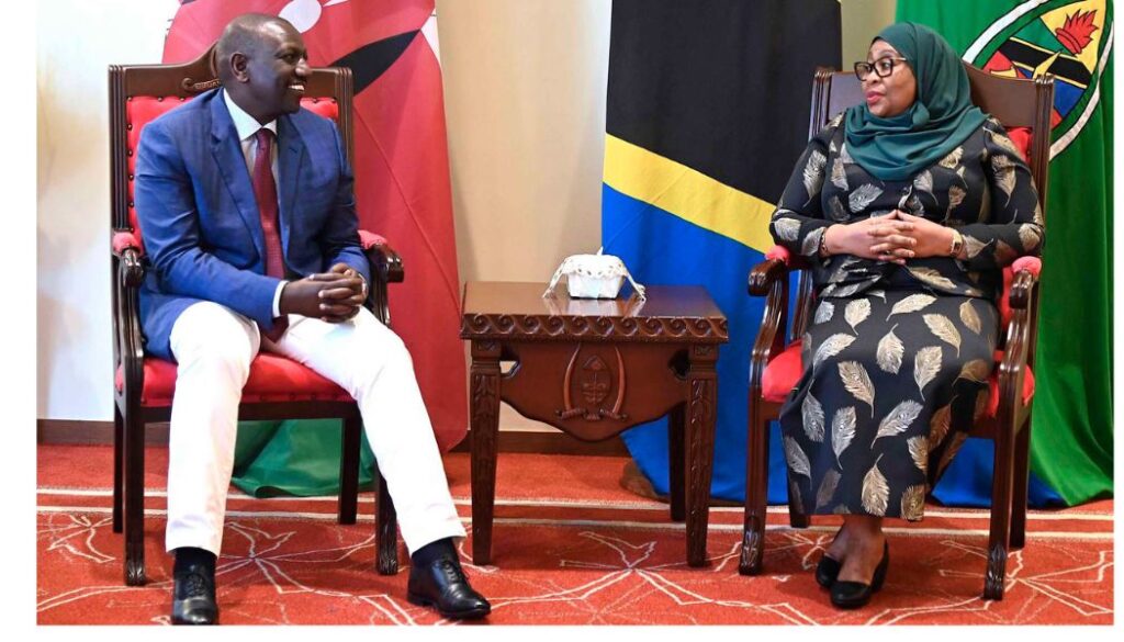 Amnesty International calls for probe against Ruto and Suluhu over rising abductions