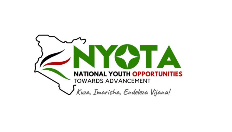 Government opens applications for the NYOTA project offering offers monthly stipends