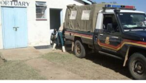 Residents of Baringo South are still trying to wrap their heads around a bizarre crime that has left many both amused and appalled - thieves broke into a mortuary and made away with body trays. 