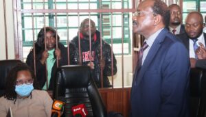 DCP youth leaders Thiga, Kawanjiru freed on Sh50K cash bail