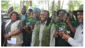 The government has unveiled a targeted student loan programme aimed specifically at students pursuing forestry studies.