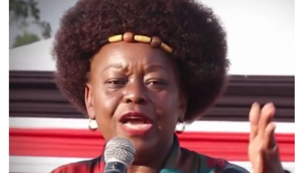 MP Millie Odhiambo has said ODM Party's support for President William Ruto in 2027 is not guaranteed and will depend on future political negotiations