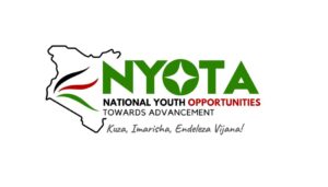 Government issues warning to youths applying for NYOTA program