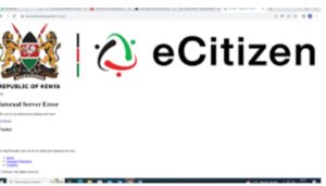 National Assembly's PAC committee has raised alarm over corruption and theft of public resources within the eCitizen platform.  