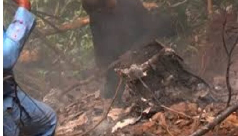 Military helicopter crash in Ghana kills ministers of defense and environment and 6 others